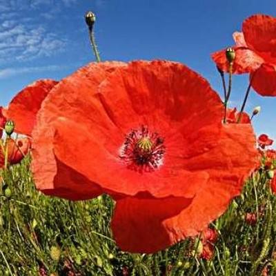 welcome 彩神8的最新网址